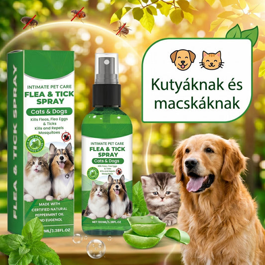 🔥1+1 ingyenes🌿Természetes bolha- és kullancsirtó spray🐾Borsmenta és teafaolajos kártevőriasztó spray – Nyugtatja az irritált bőrt, széles spektrumú védelem!