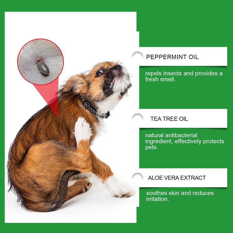 🔥1+1 ingyenes🌿Természetes bolha- és kullancsirtó spray🐾Borsmenta és teafaolajos kártevőriasztó spray – Nyugtatja az irritált bőrt, széles spektrumú védelem!