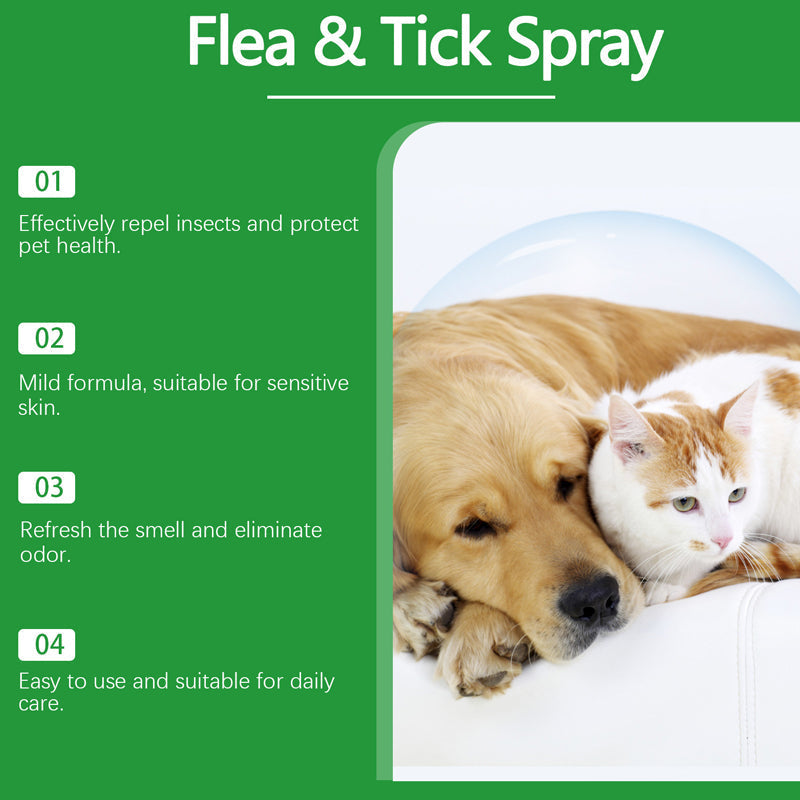 🔥1+1 ingyenes🌿Természetes bolha- és kullancsirtó spray🐾Borsmenta és teafaolajos kártevőriasztó spray – Nyugtatja az irritált bőrt, széles spektrumú védelem!