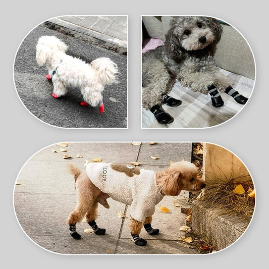 2 pár csúszásmentes, vízálló kutyazokni